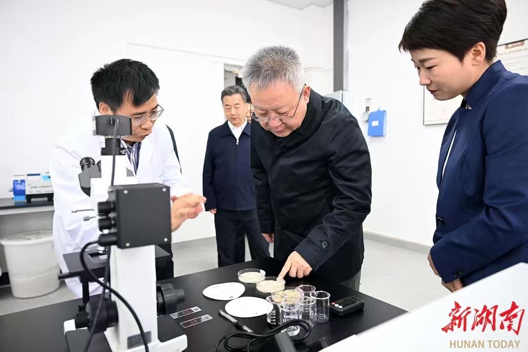 公司林亲录教授荣获“湖南省优秀专家”称号